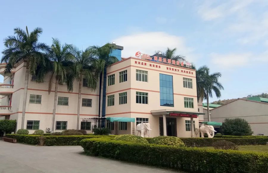 “情系新南方” — 大型主題銷(xiāo)售故事系列之林月潔